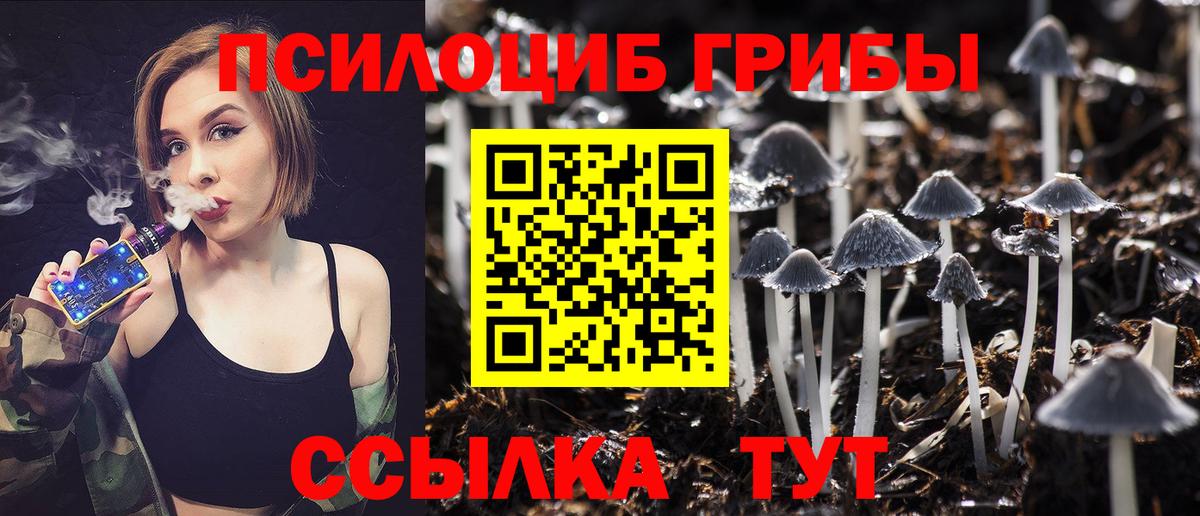 Псилоцибиновые грибы Psilocybine cubensis  Вход с VPN  Старая Купавна 